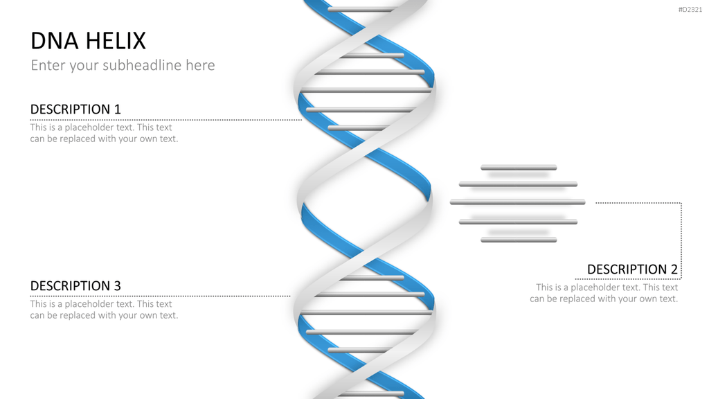 DNA Doppelhelix PowerPoint-Vorlage