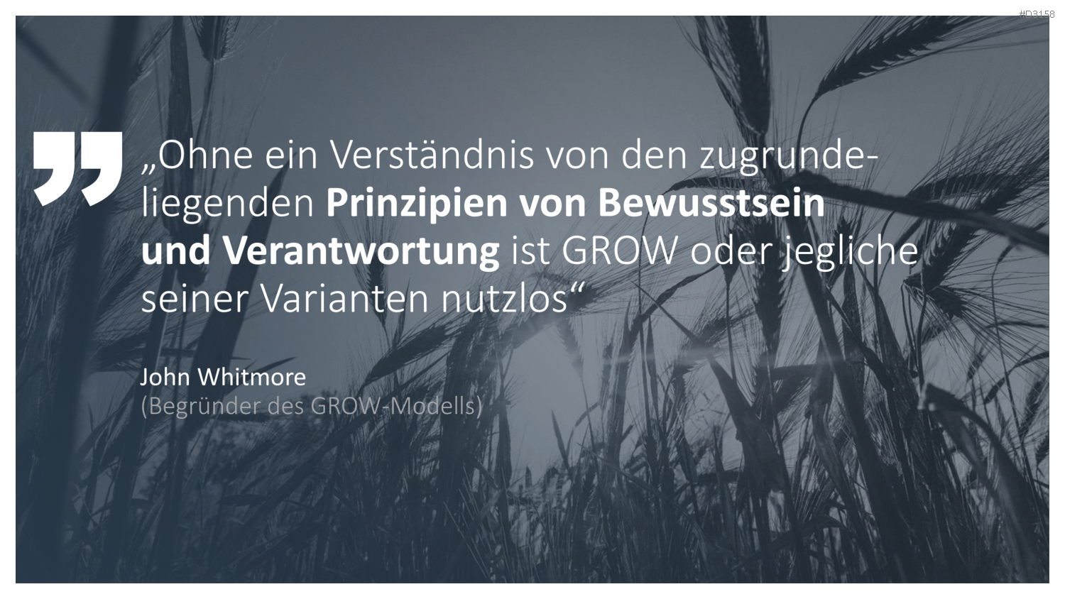 GROW-Modell
