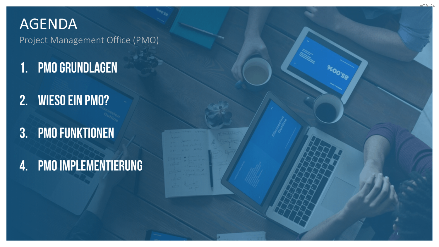 Project Management Office (PMO)