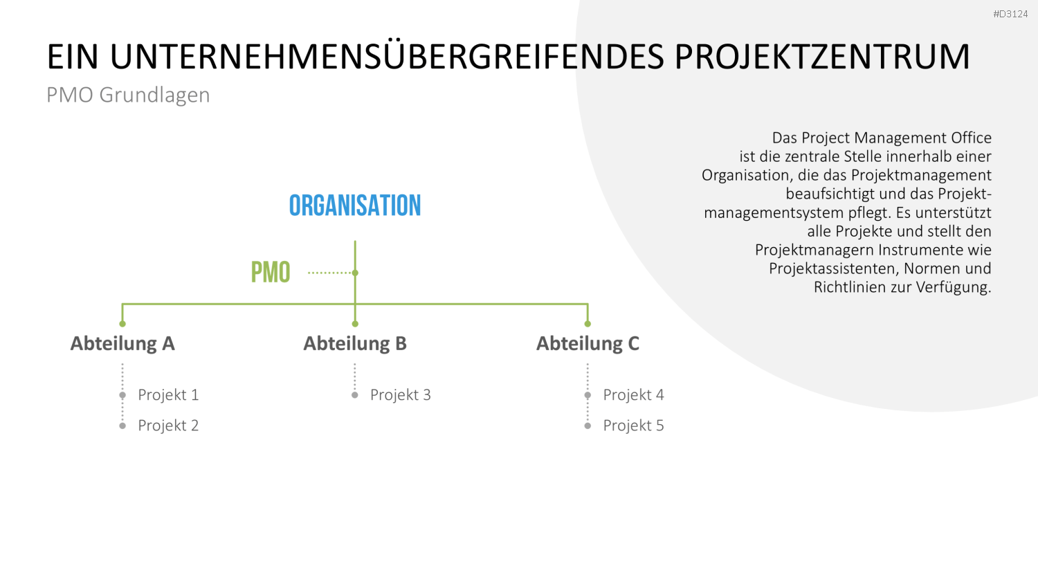 Project Management Office (PMO)