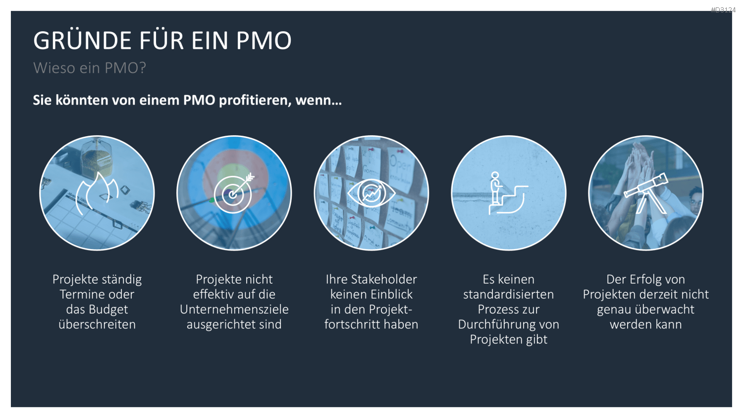 Project Management Office (PMO)