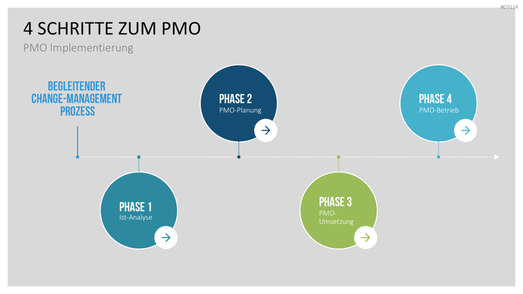 Project Management Office (PMO)