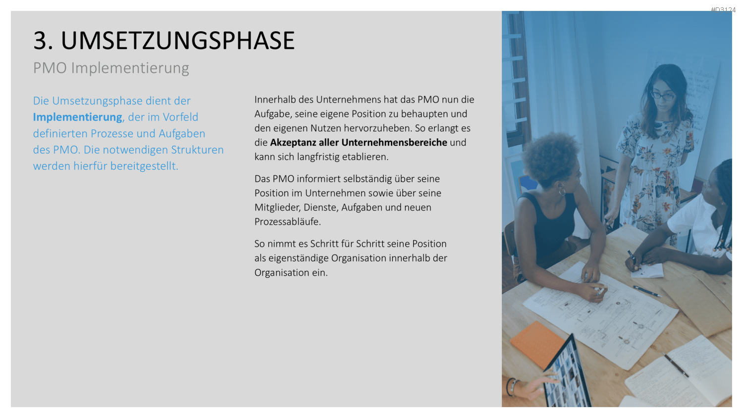 Project Management Office (PMO)