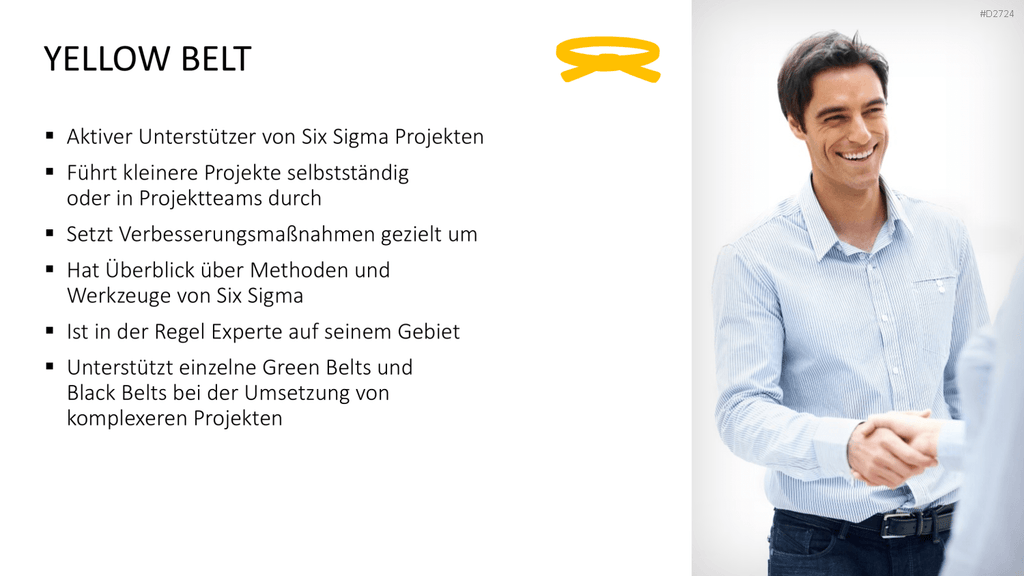 Six Sigma PowerPoint-Vorlage