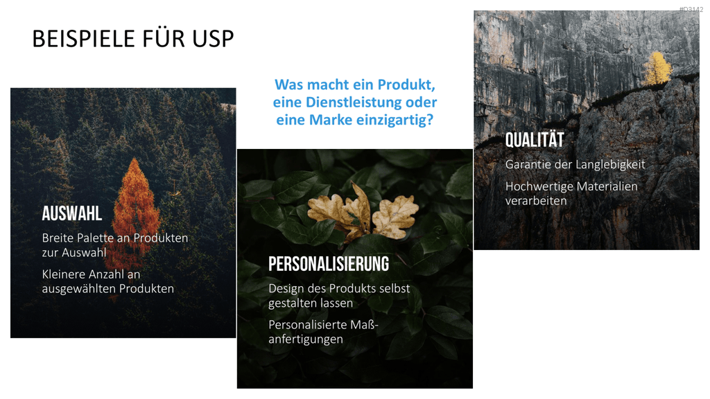 Unique Selling Point