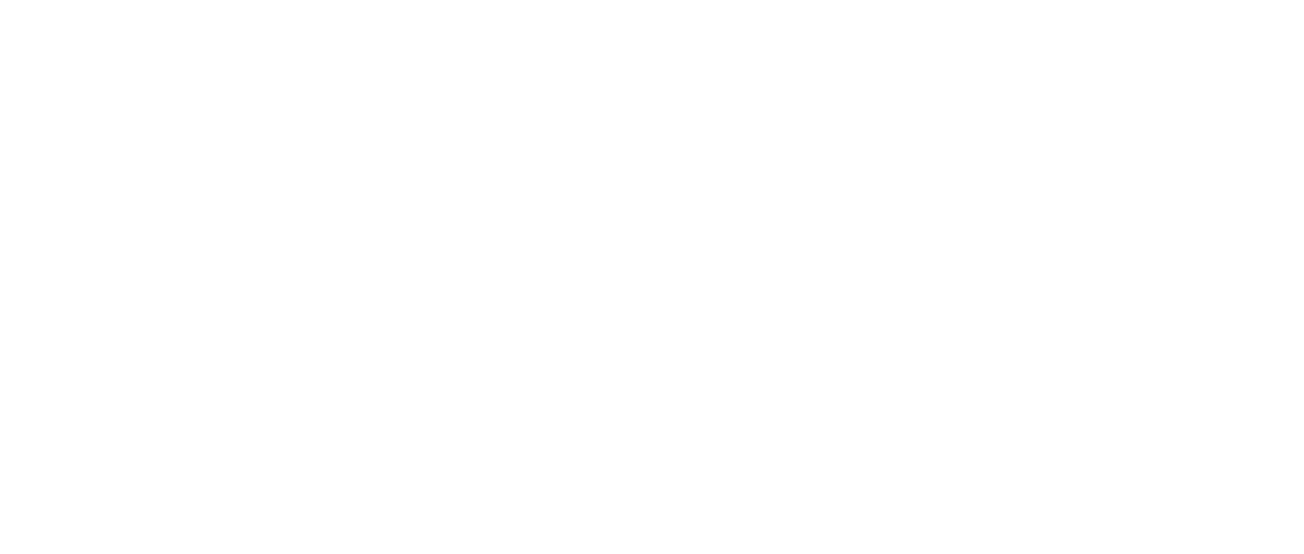 VW Logo, stilisiertes Firmenzeichen